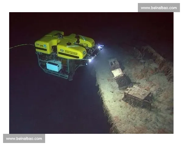 速度与意志交锋的公路自行车赛全景纪实与精神解读冠军之路与战术美学追求