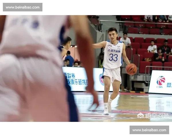 篮球赛事在线观看免费高清直播平台推荐指南十大优质资源全解析 - 副本