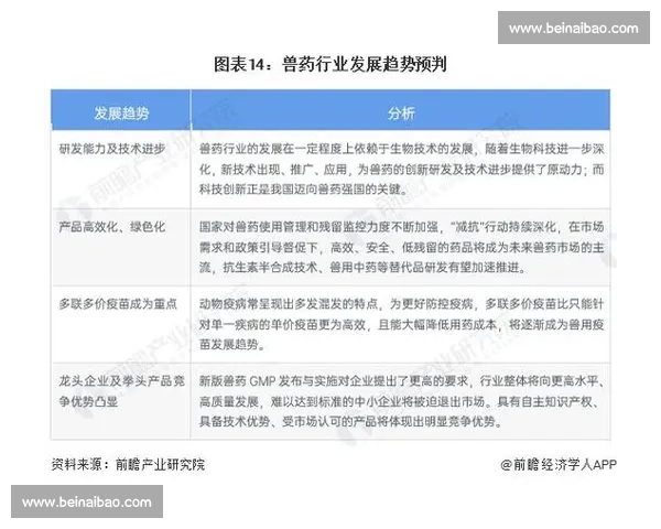 聚焦足球赛事多线路融合发展的全景观察与趋势前瞻路径与商业价值解析 - 副本 (2) - 副本