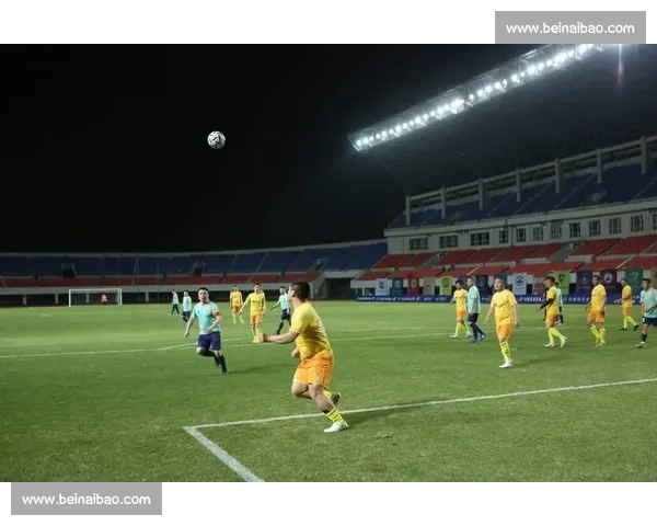 足球比赛免费版全方位赛事解析与精彩看点深度体验指南推荐攻略 - 副本 (8) - 副本