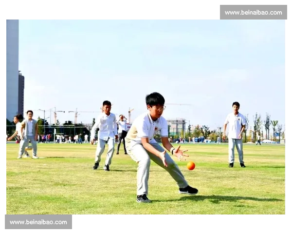 燃情赛场:棒球联赛精彩瞬间与球员荣耀全记录 - 副本 - 副本 (2) 燃情赛场:棒球联赛精彩瞬间与球员荣耀全记录 - 副本 - 副本 (2)